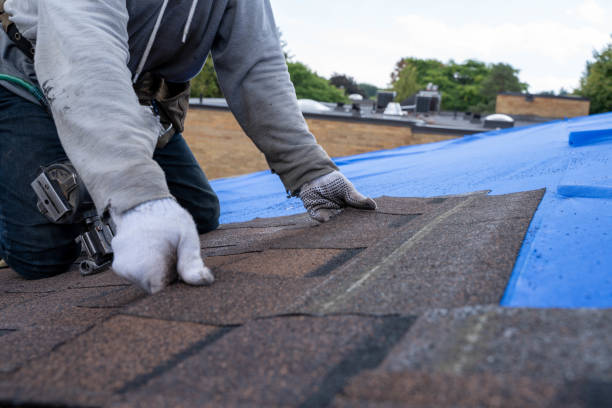 Best Roof Maintenance Services  in Colmar Manor, MD