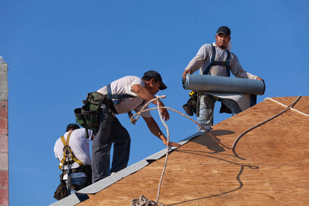 Quick and Trustworthy Emergency Roof Repair Services in Colmar Manor, MD